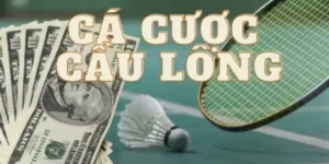 Hướng Dẫn Cá Cược Cầu Lông Tại DafaBet Để Thắng Lớn Dễ Dàng