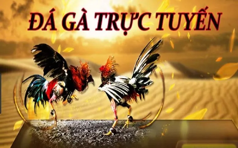Đá Gà Dafabet 1 Bí Mật Thắng Lớn Với Đá Gà Dafabet Hấp Dẫn Nhất Hiện Nay