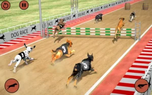 Bí Quyết Chơi Game Nhanh Đua Chó Tại Dafabet Thắng Lớn Hấp Dẫn